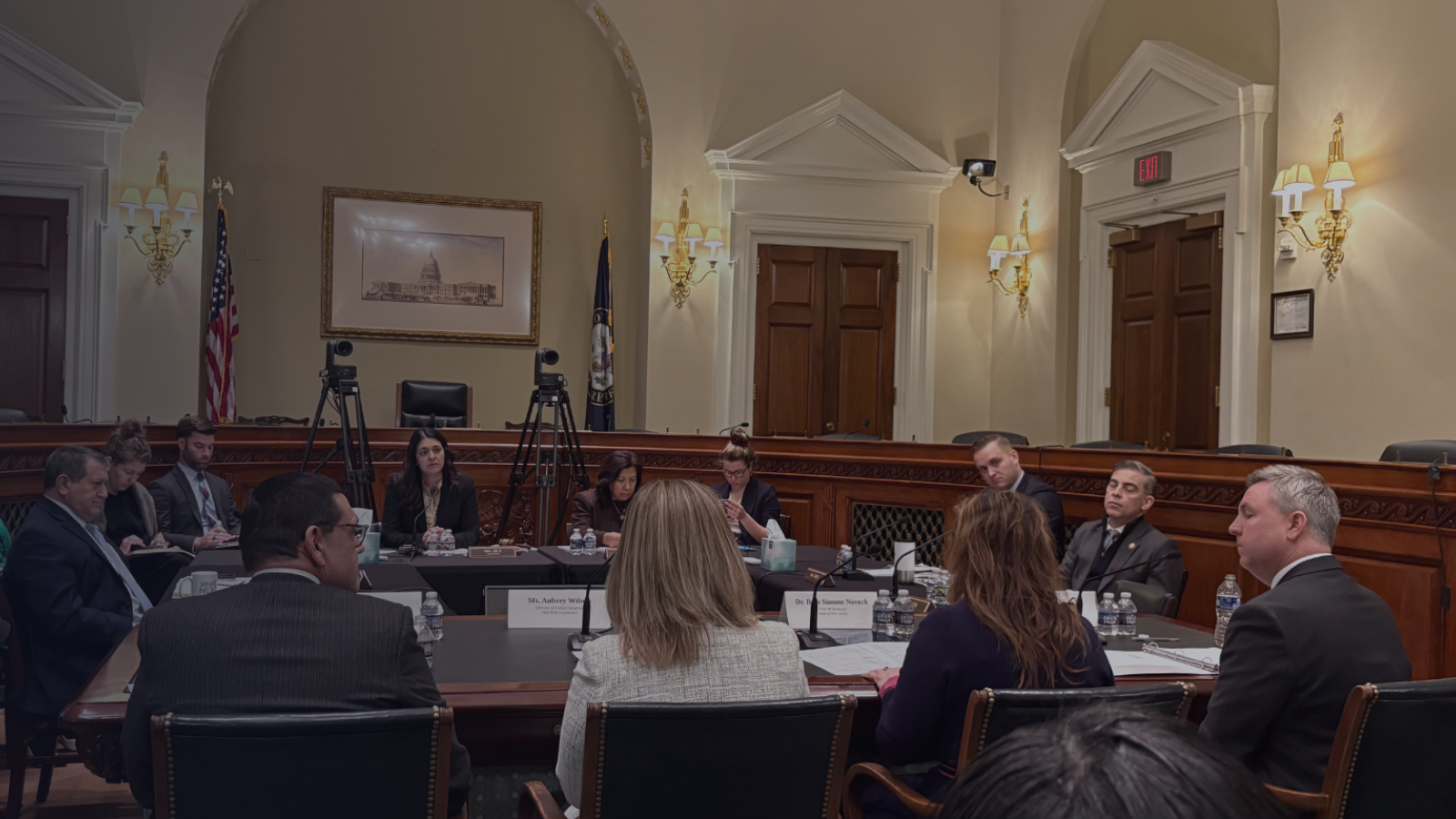 Michael in the congress 
