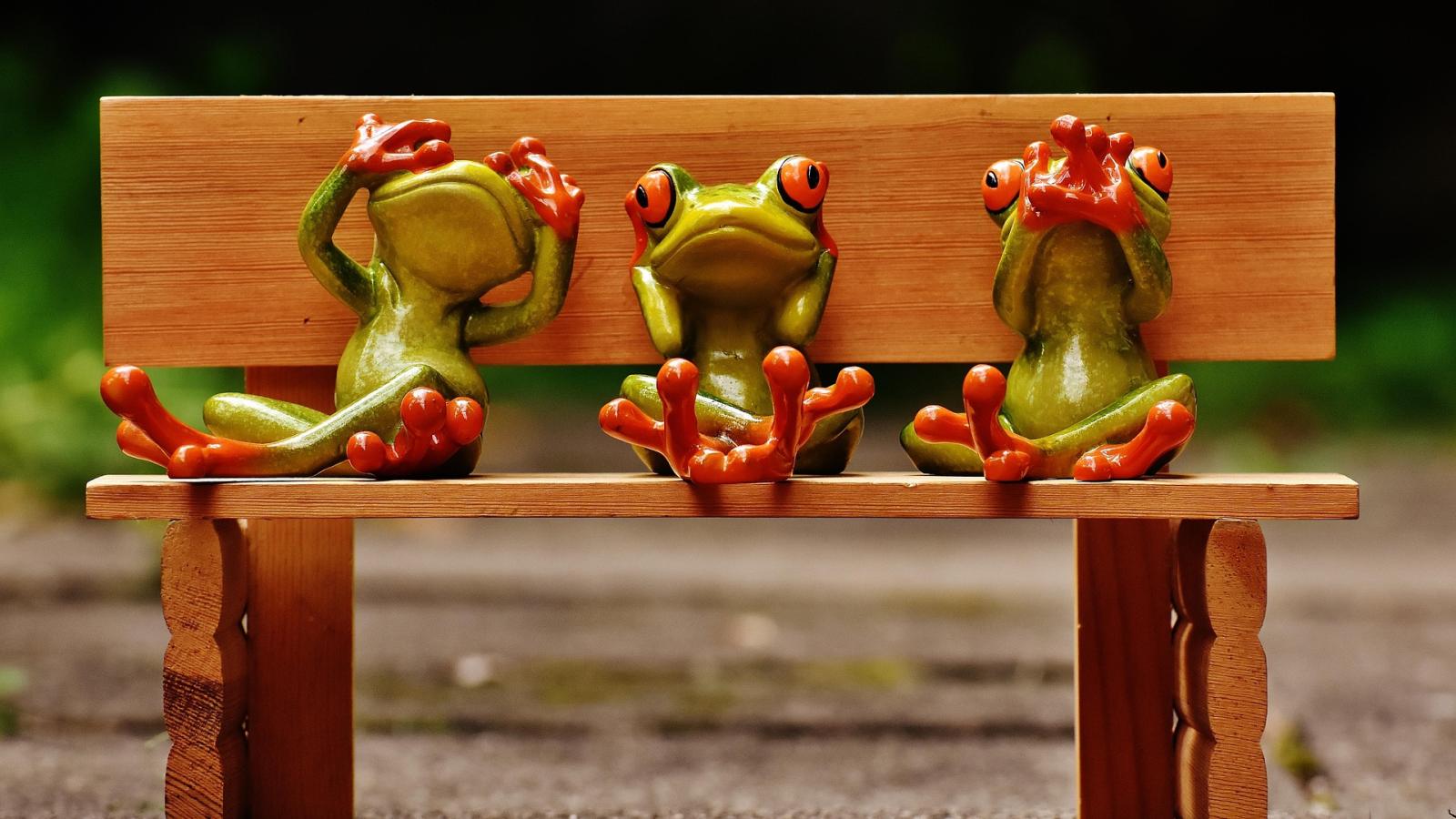 alexas_fotos-frogs-