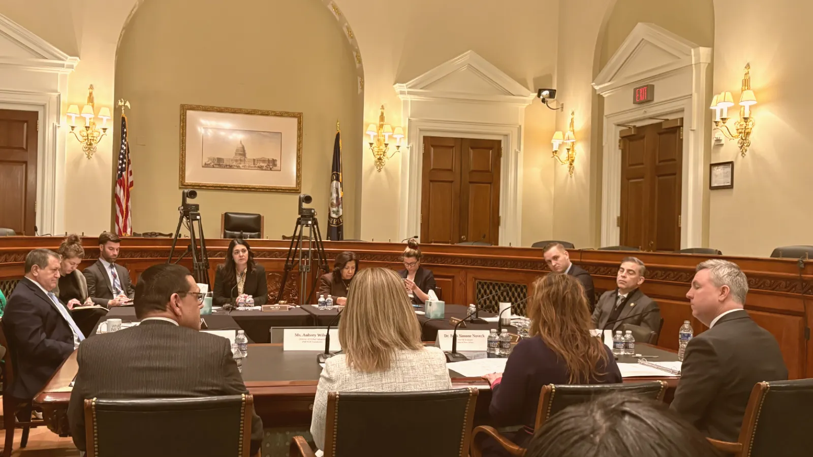 Michael in the congress 