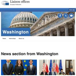 EU Logo 