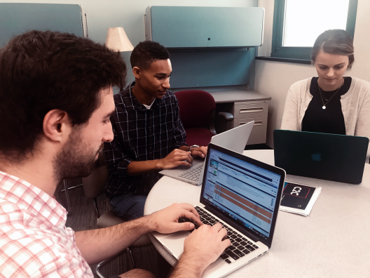Connecting to Congress Team managing an online Town Hall