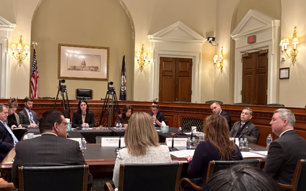 Michael in the congress 